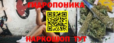 дмт Можга